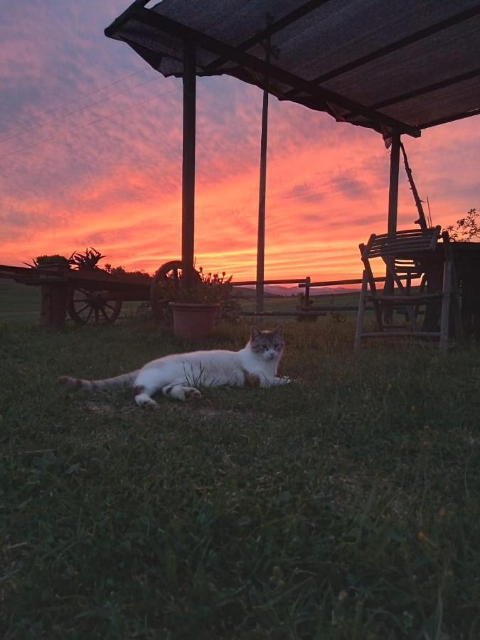 Enjoy Sunset Βίλα Colle Massari Εξωτερικό φωτογραφία